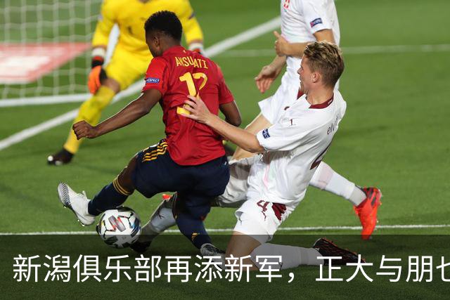 新潟俱乐部再添新军，正大与朋也来助阵！